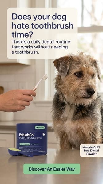 Keep their teeth clean WITHOUT a toothbrush!
