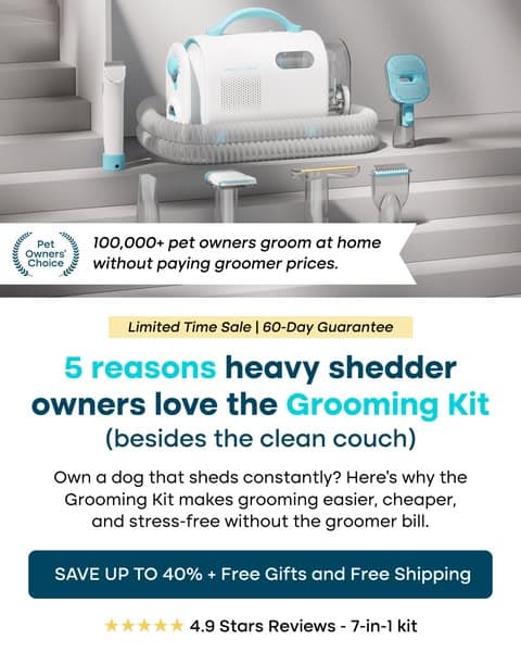 Struggling with Pet hair? Not for long!