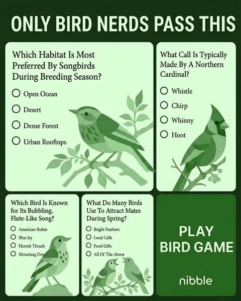🕊Ornithology, but Bite-Sized!