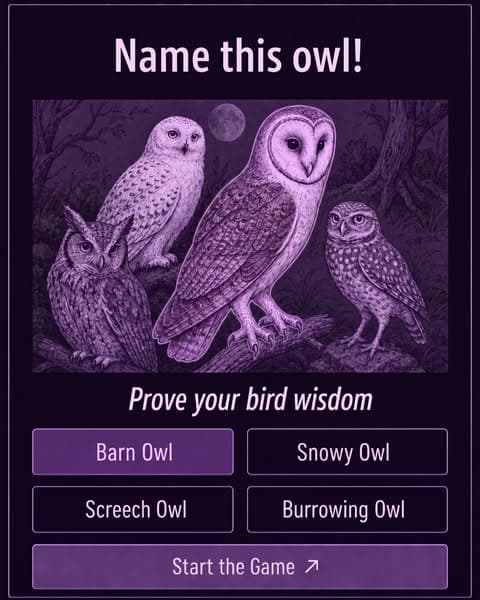 ๐Ornithology, but Bite-Sized!